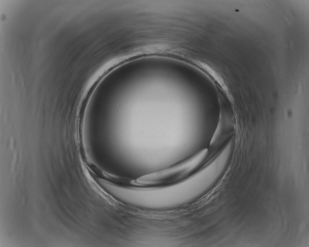 X0000085321342200703161456