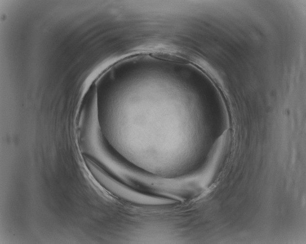 X0000085321344200703161456