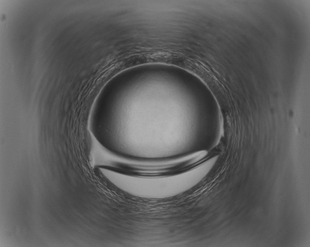 X0000085321345200703161455