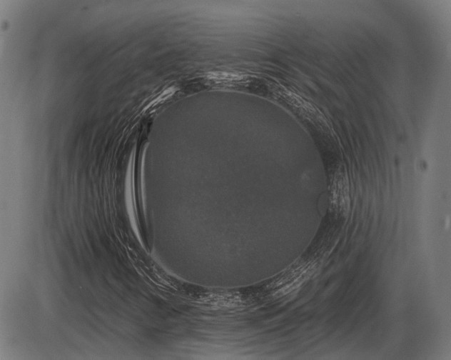 X0000085321346200703161455