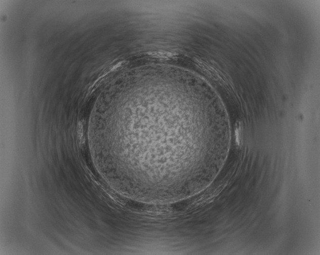 X0000085321347200703161455