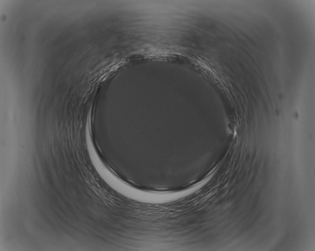 X0000085321348200703161455