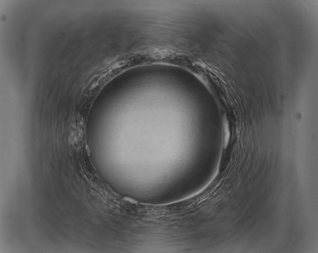 X0000085321349200703161455