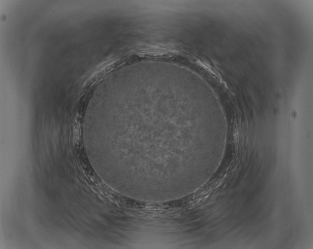 X0000085321350200703161455