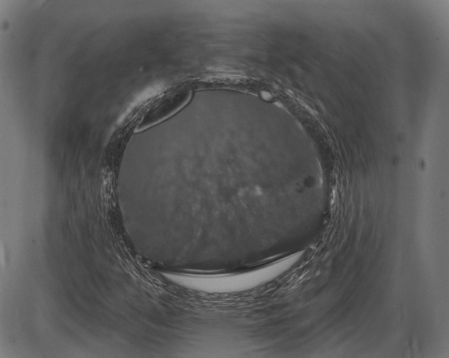 X0000085321351200703161455