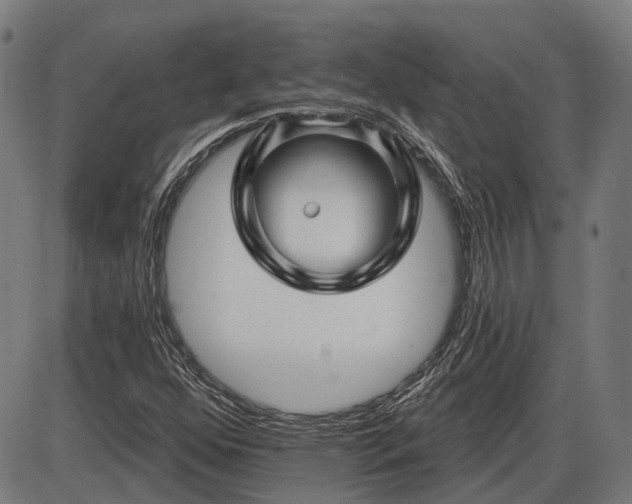 X0000085321352200703161455