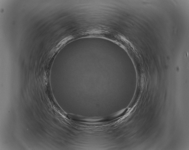 X0000085321353200703161455