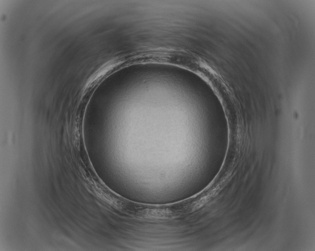 X0000085321354200703161455