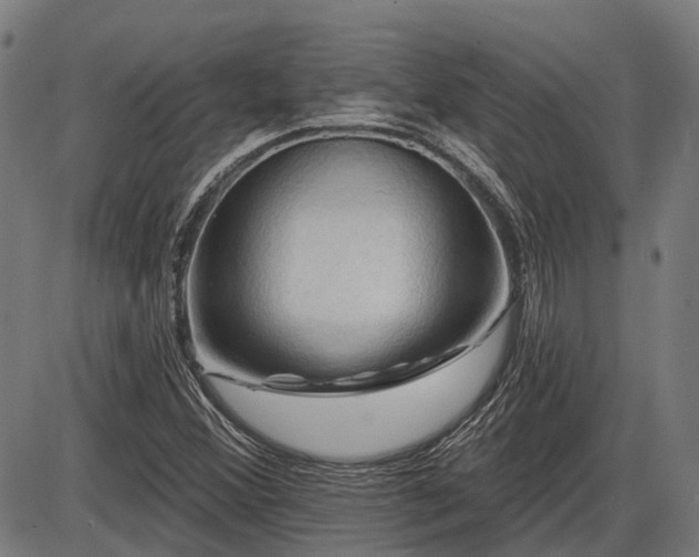 X0000085321356200703161455