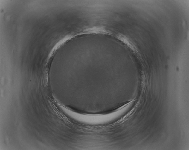 X0000085321358200703161455