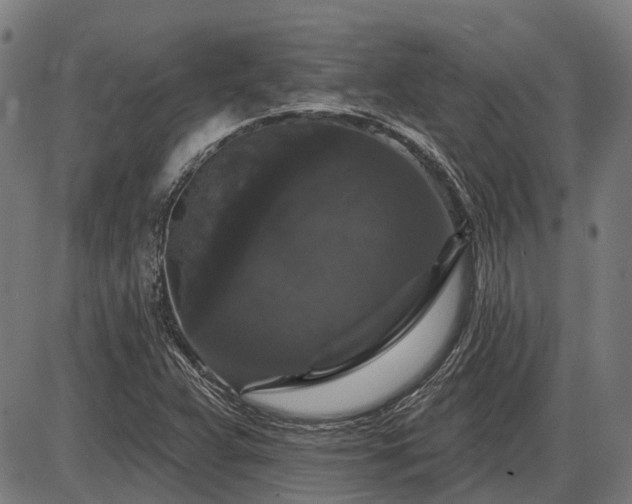 X0000085321359200703161455