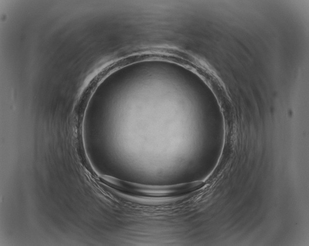 X0000085321360200703161455