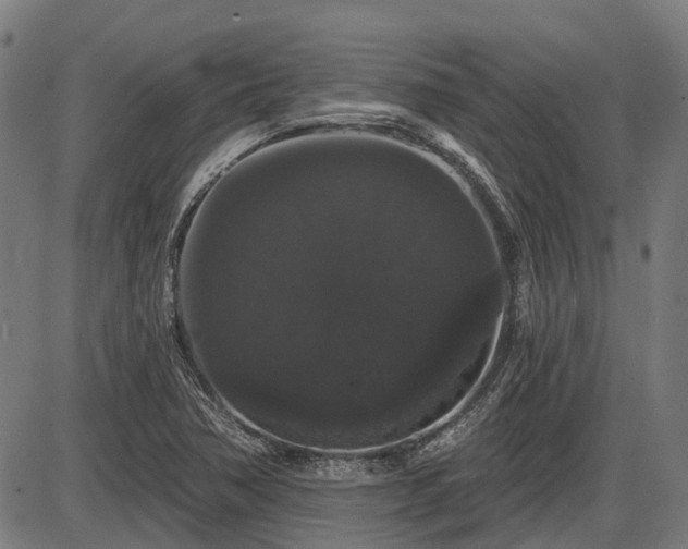 X0000085321362200703161455