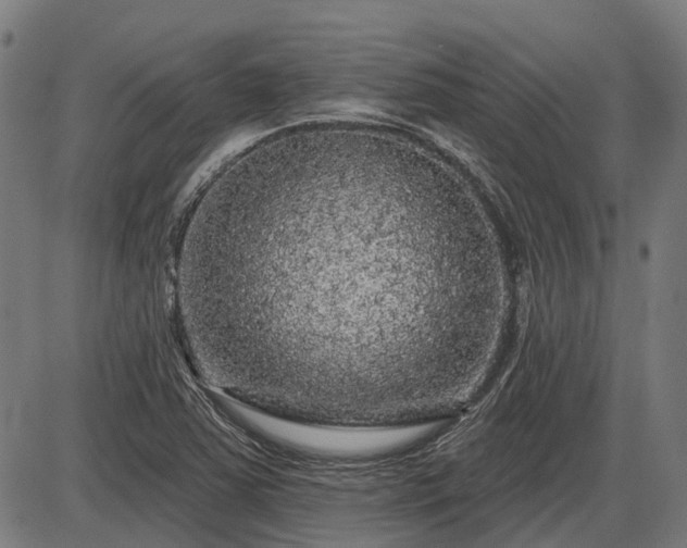 X0000085321363200703161455