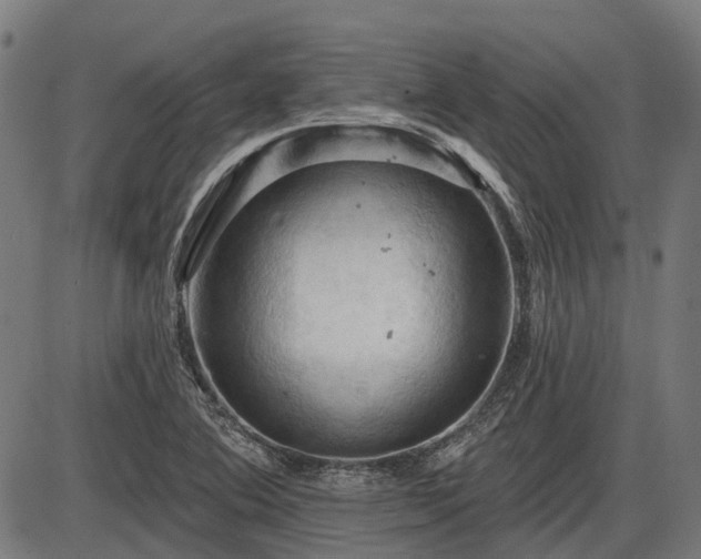 X0000085321364200703161455