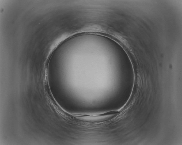 X0000085321366200703161455