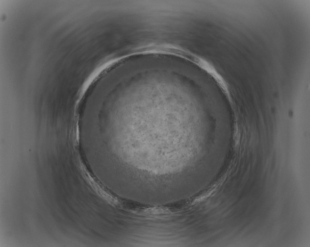 X0000085321368200703161455