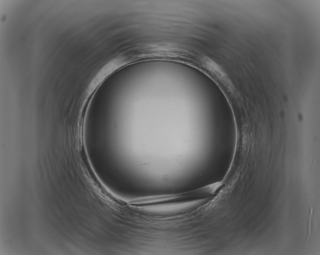 X0000085321370200703161455