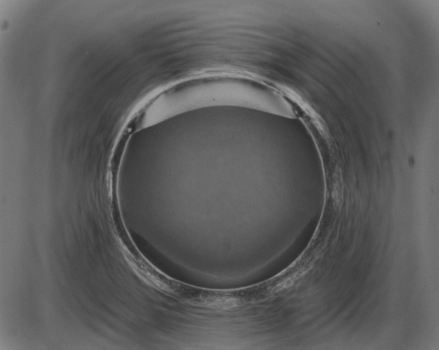 X0000085321372200703161455