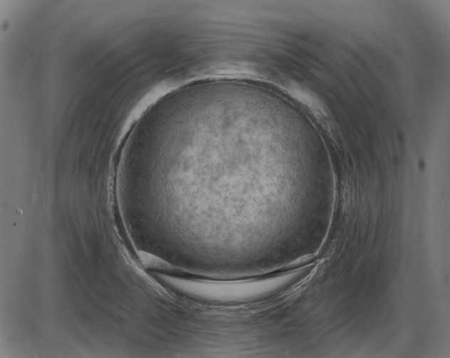 X0000085321374200703161455