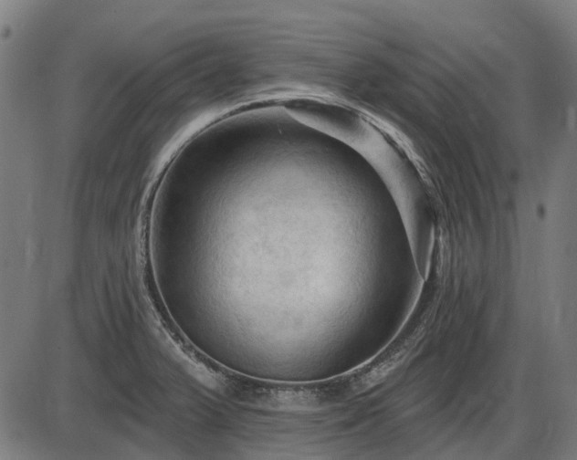 X0000085321375200703161455