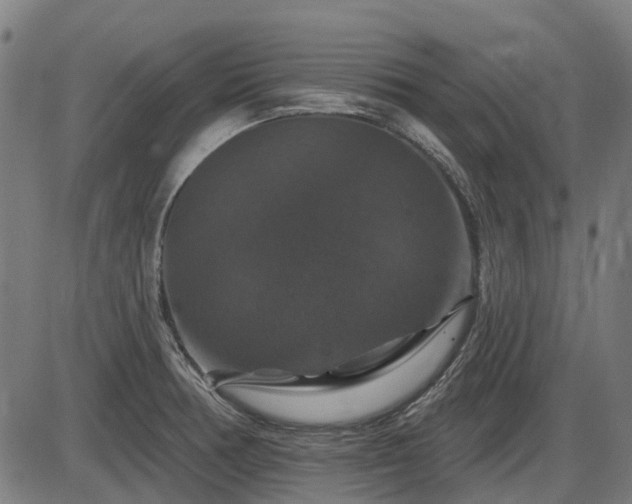 X0000085321378200703161455