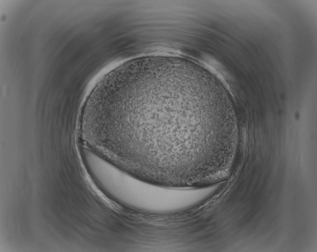 X0000085321379200703161455