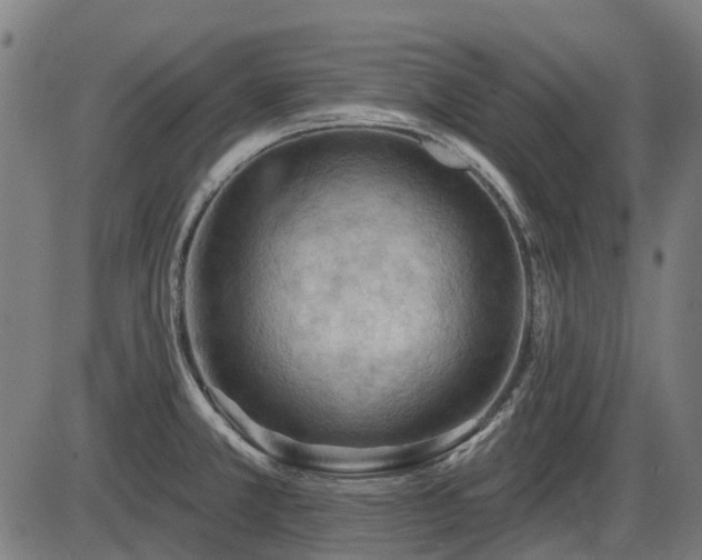 X0000085321381200703161454