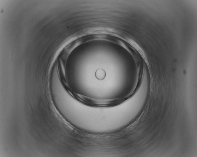 X0000085321384200703161454