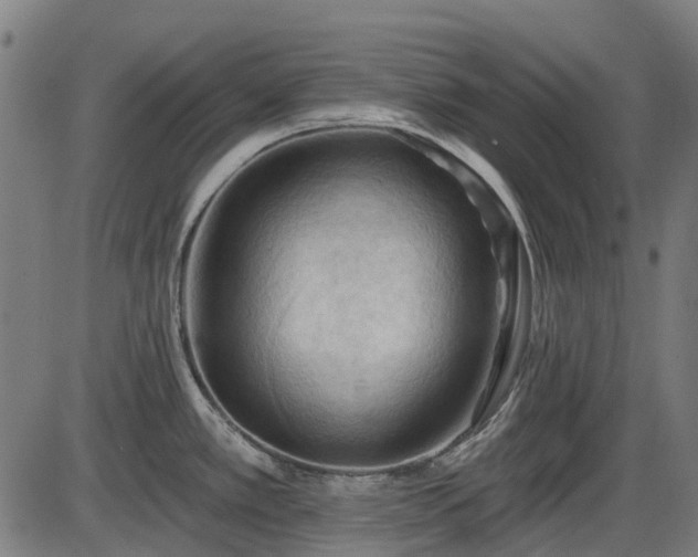 X0000085321389200703161454