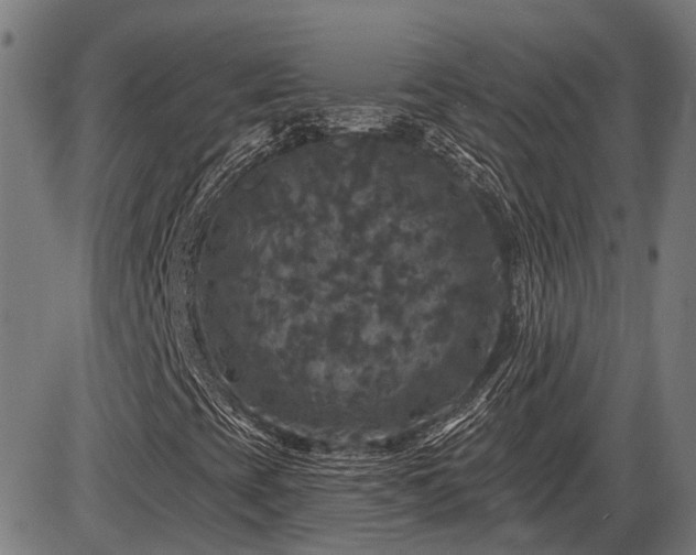 X0000085321393200703161454