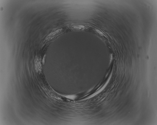 X0000085321394200703161454