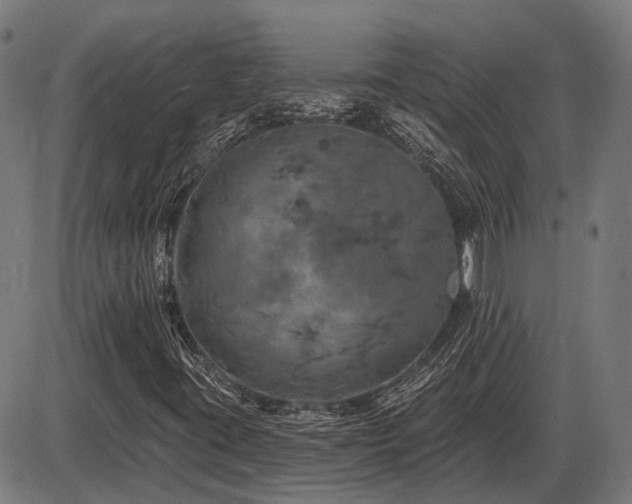 X0000085321395200703161454
