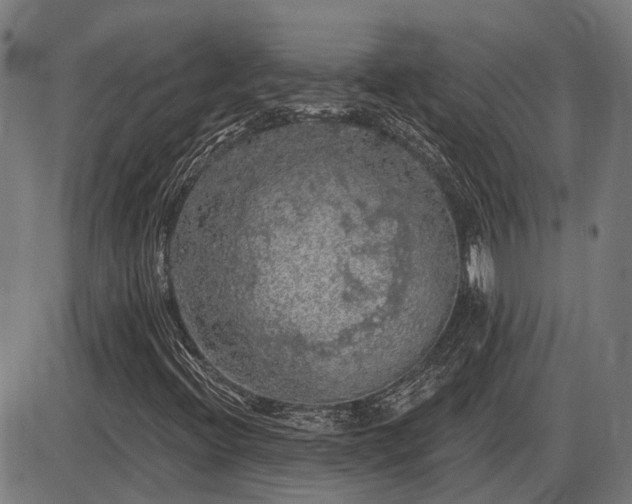 X0000085321396200703161454