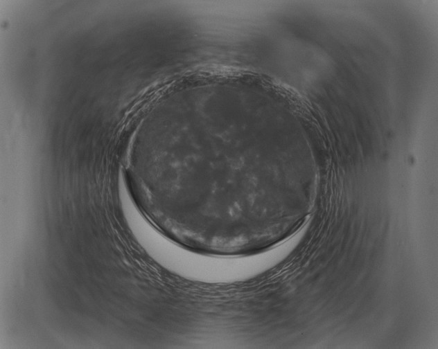 X0000085321397200703161454