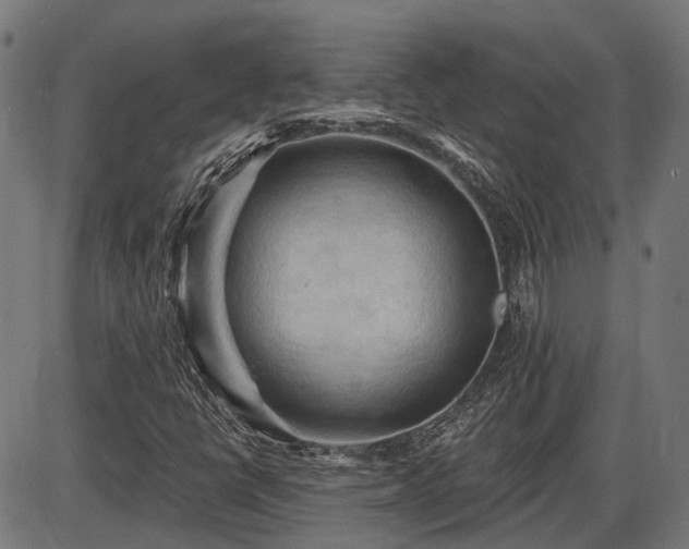 X0000085321398200703161454