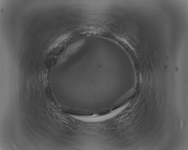 X0000085321399200703161454