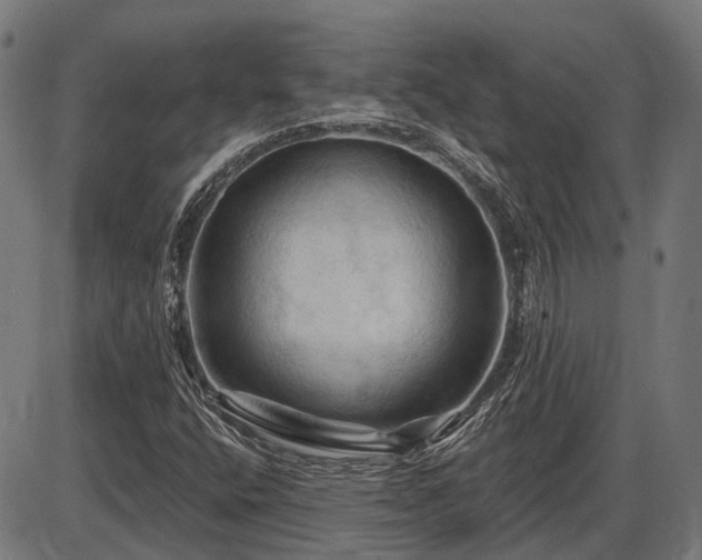X0000085321400200703161454