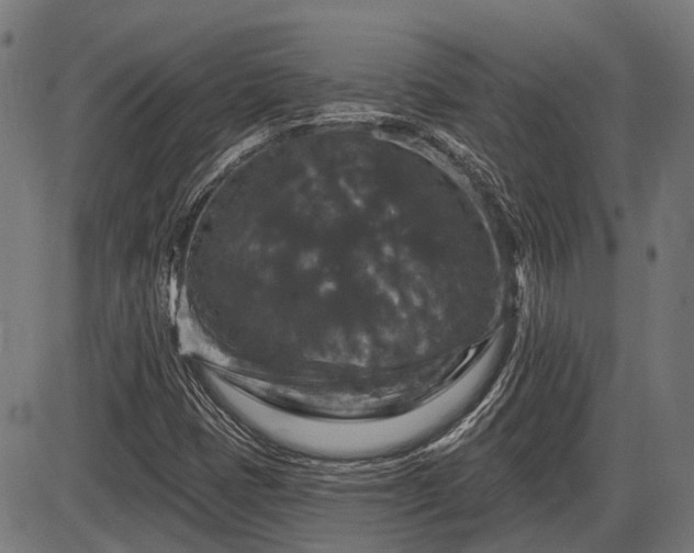 X0000085321401200703161454