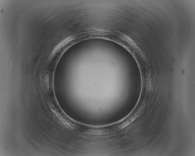 X0000085321402200703161454