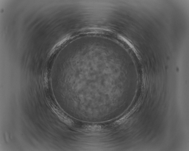 X0000085321403200703161454