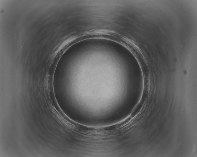 X0000085321404200703161454