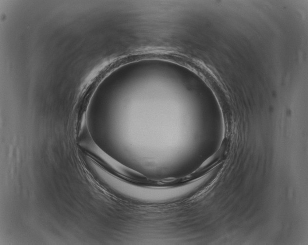 X0000085321406200703161454