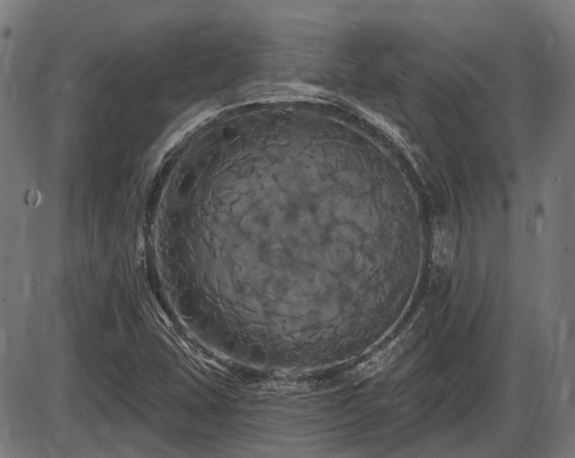 X0000085321407200703161454