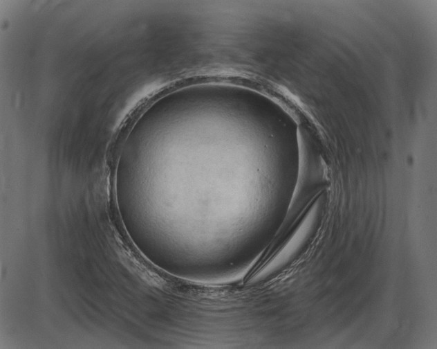 X0000085321408200703161454