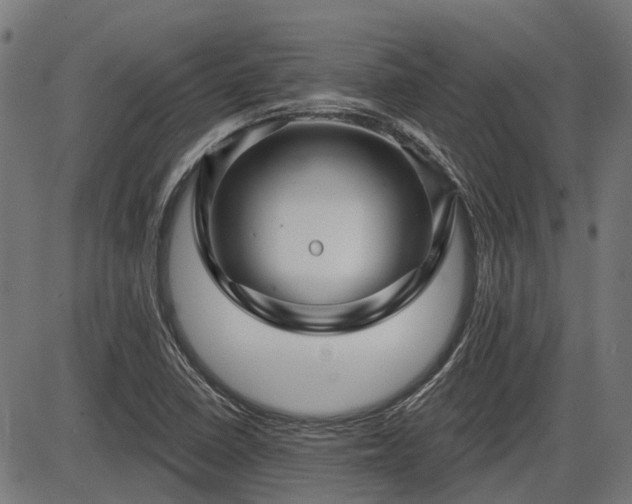 X0000085321410200703161454