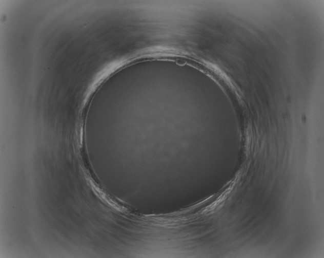 X0000085321413200703161454