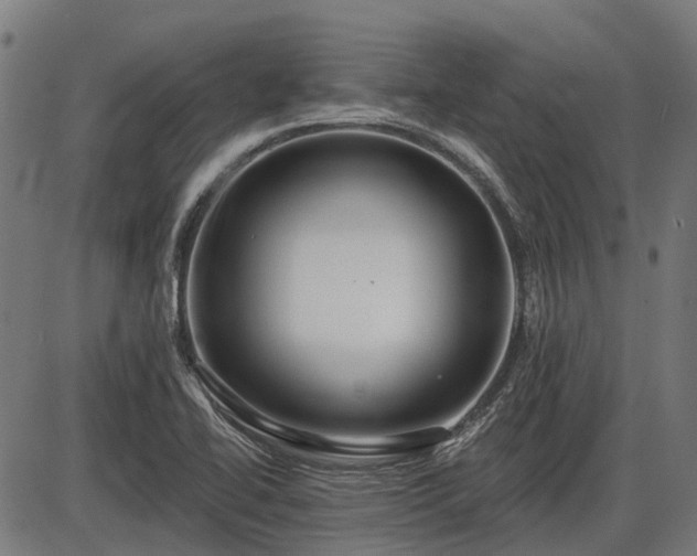X0000085321414200703161454