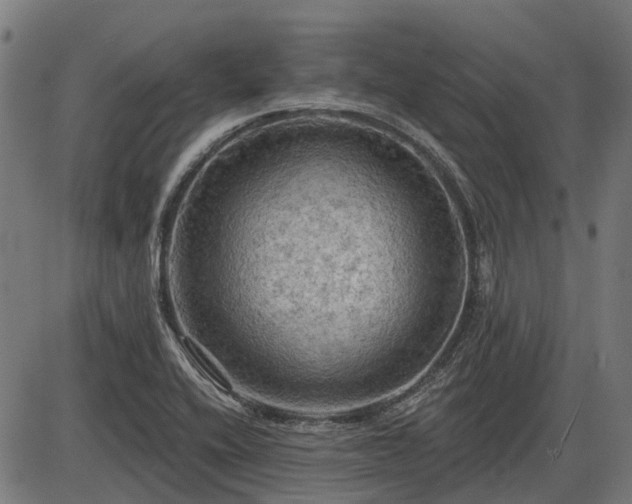X0000085321416200703161454