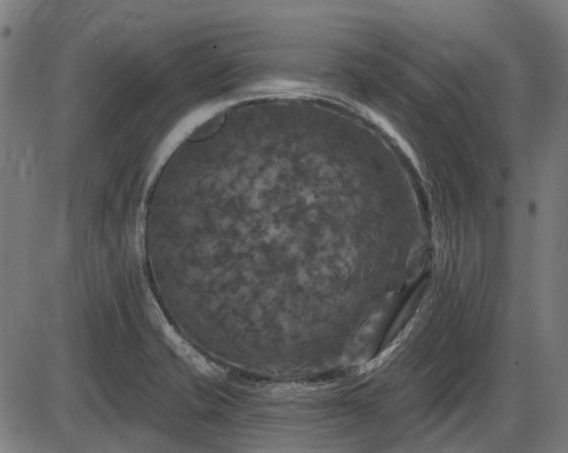X0000085321421200703161454